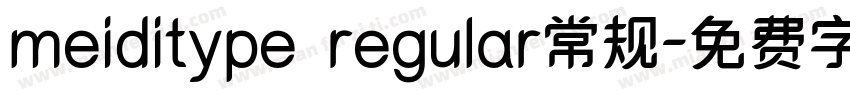 meiditype regular常规字体转换
